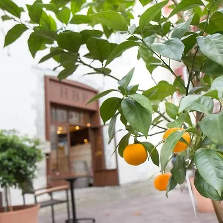 Des Basses Pyrenees - Bayonne