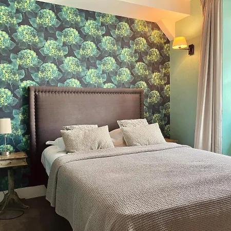 Des Basses Pyrenees - Бейонн