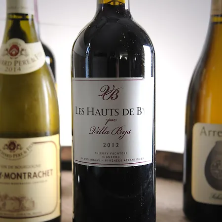 Отель Des Basses Pyrenees -