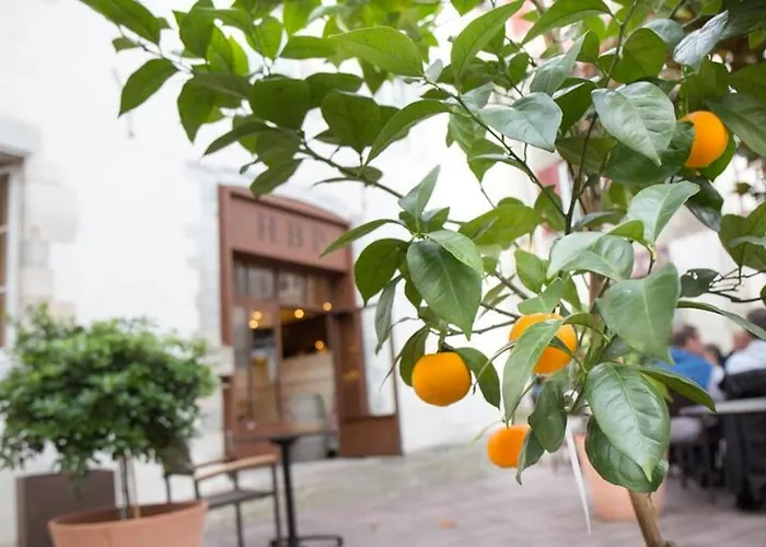 Des Basses Pyrenees - Bayonne