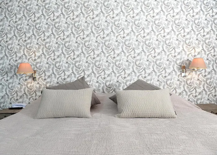 オテル デ バｰス ピレネー 4*