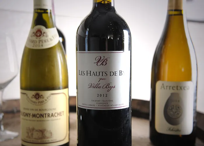 Hotel Des Basses Pyrénées -