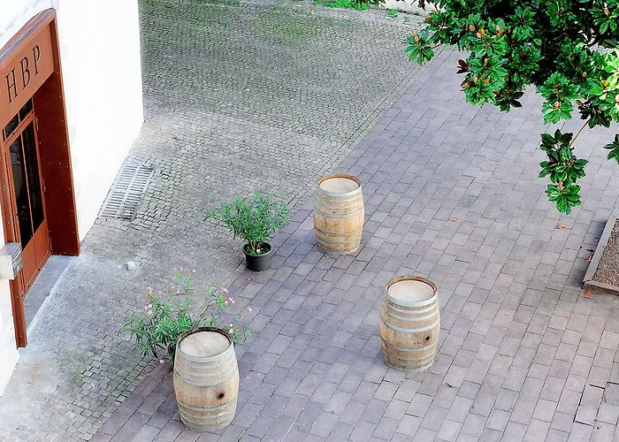 Des Basses Pyrénées - Hotel